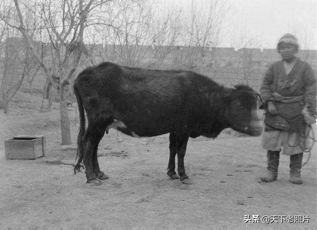 1906年新疆喀什老照片 百年前喀什城市印象及人物风貌