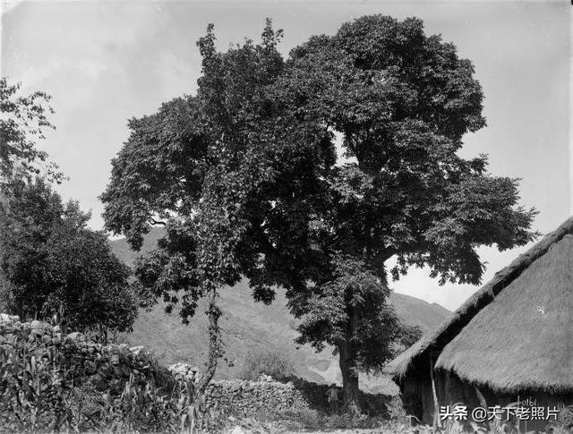 1910年四川老照片 百年前的四川大宁云阳开县风貌