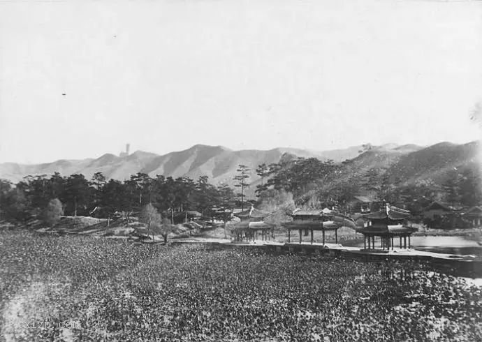 图片[3]-Old photos of Chengde Summer Resort and Mulan paddock in 1909-China Archive