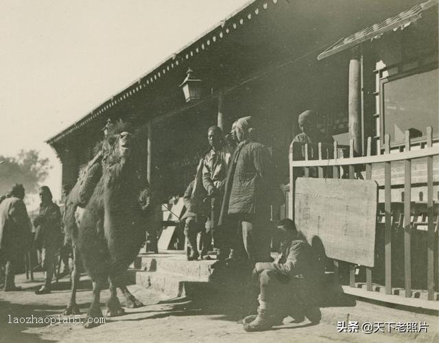 图片[26]-The old photo of Zhangjiakou, Hebei in 1909 The style and features of Zhangjiakou, Xiahuayuan and Xuanhua 110 years ago-China Archive