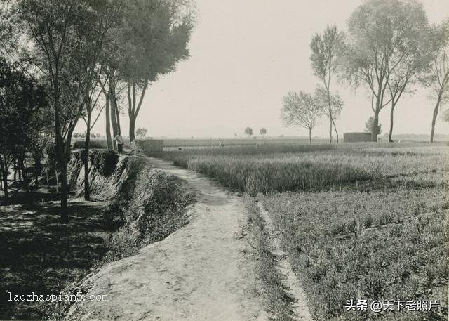 图片[19]-The old photo of Zhangjiakou, Hebei in 1909 The style and features of Zhangjiakou, Xiahuayuan and Xuanhua 110 years ago-China Archive