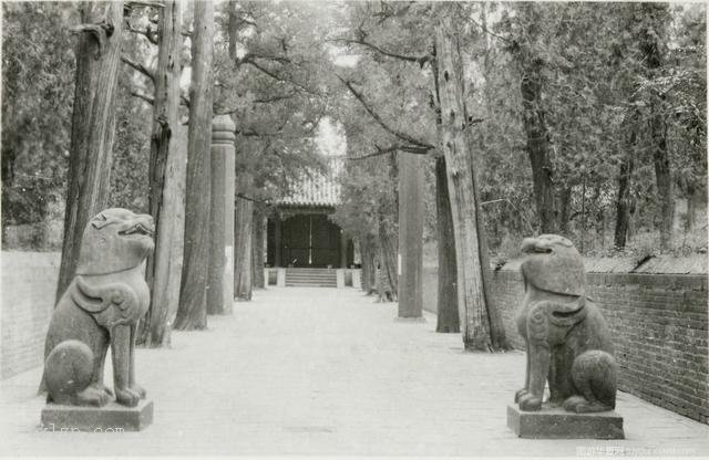 图片[9]-The most complete image before the destruction of Qufu Confucius Temple in 1925-China Archive