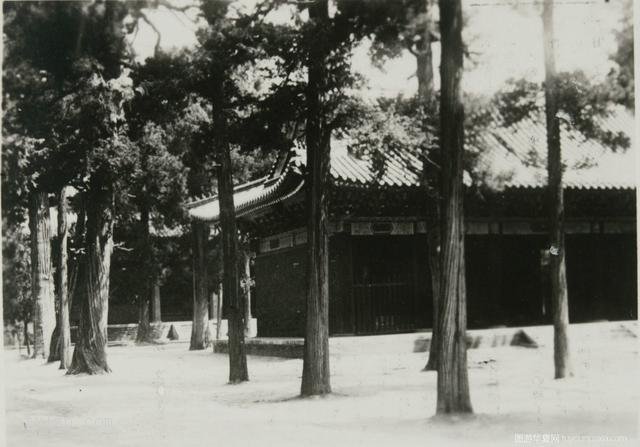 图片[5]-The most complete image before the destruction of Qufu Confucius Temple in 1925-China Archive