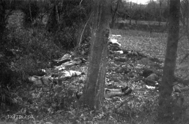 图片[16]-An old documentary photo of the 1937 invasion of China: China under the iron hoofs of the Japanese army-China Archive