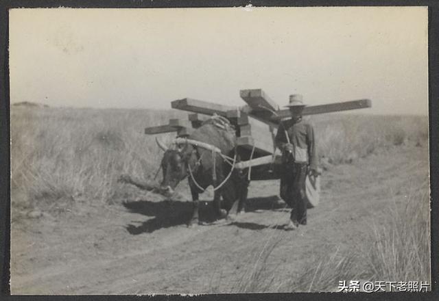 图片[5]-The old photo of Linhe in Suiyuan Province in 1936, and the story of Huangyangmu to Linhe-China Archive