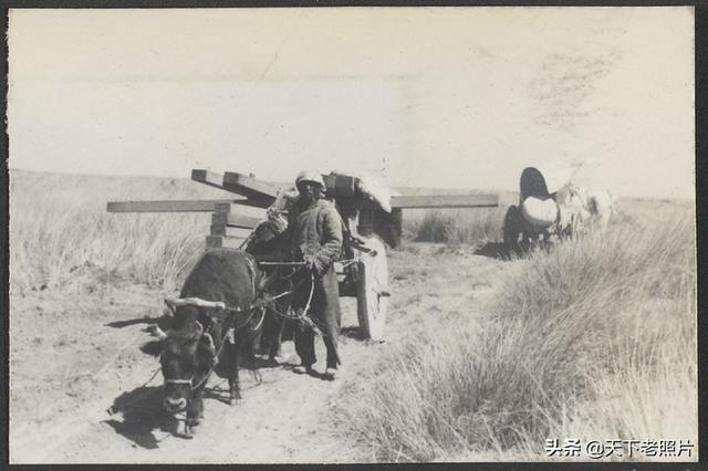 图片[4]-The old photo of Linhe in Suiyuan Province in 1936, and the story of Huangyangmu to Linhe-China Archive