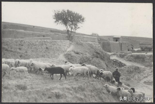图片[3]-The old photos of Tongxin County, Ningxia in 1936, typical images of northwest dry tableland and villages-China Archive