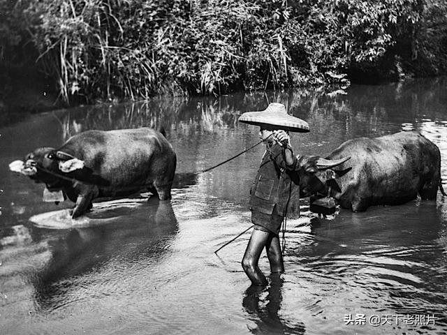 1931年海南岛老照片 黎族部落原生态生活影像及人物风貌