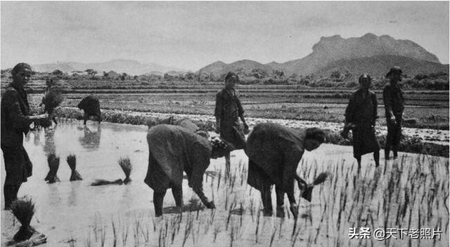 1931年海南岛老照片 黎族部落原生态生活影像及人物风貌