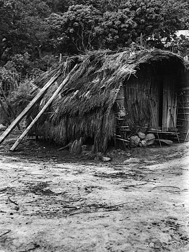 1931年海南岛老照片 黎族部落原生态生活影像及人物风貌