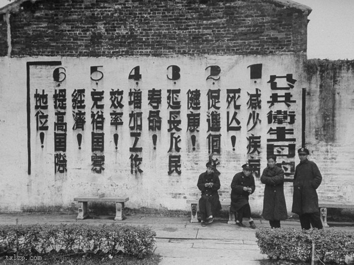 图片[11]-In 1949, Guangzhou was full of shops and merchants-China Archive