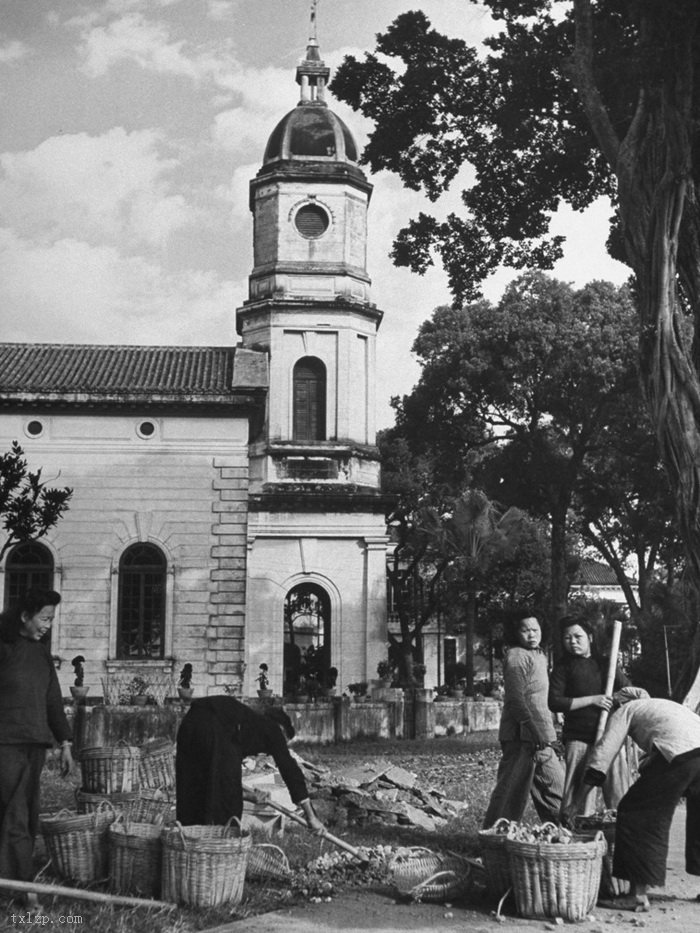 图片[22]-In 1949, Guangzhou was full of shops and merchants-China Archive