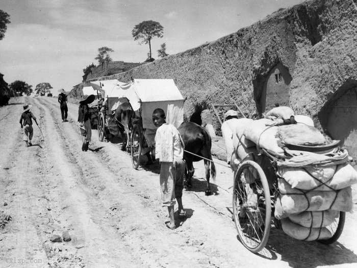 图片[9]-Old photos of barren and desolate loess high slope in 1937-China Archive