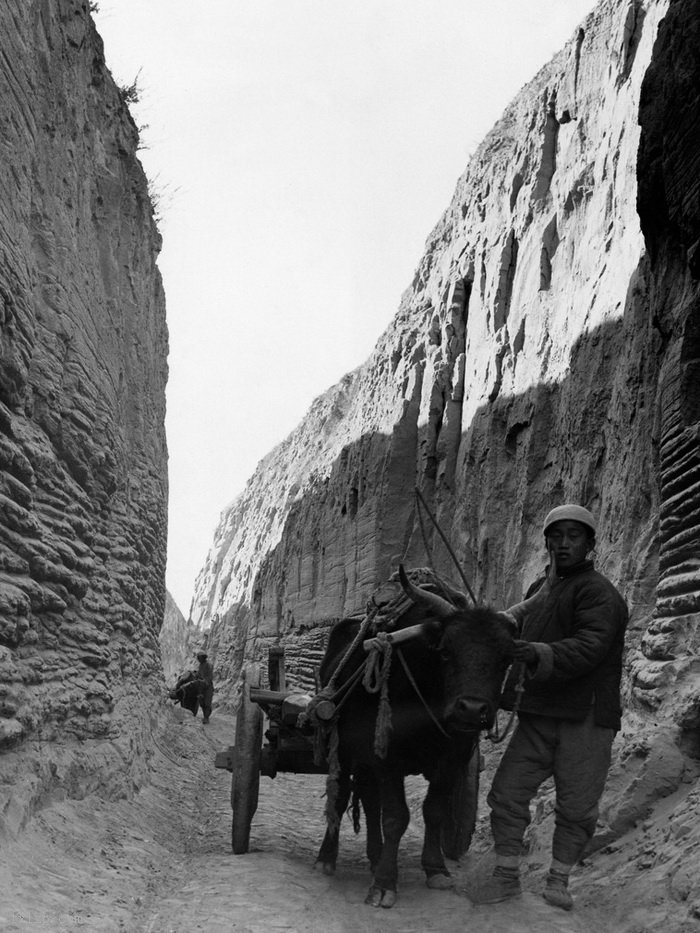 图片[10]-Old photos of barren and desolate loess high slope in 1937-China Archive