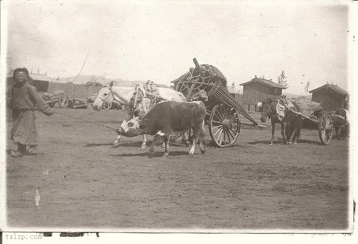 图片[5]-Old photos of Mongolia in 1925 (2)-China Archive