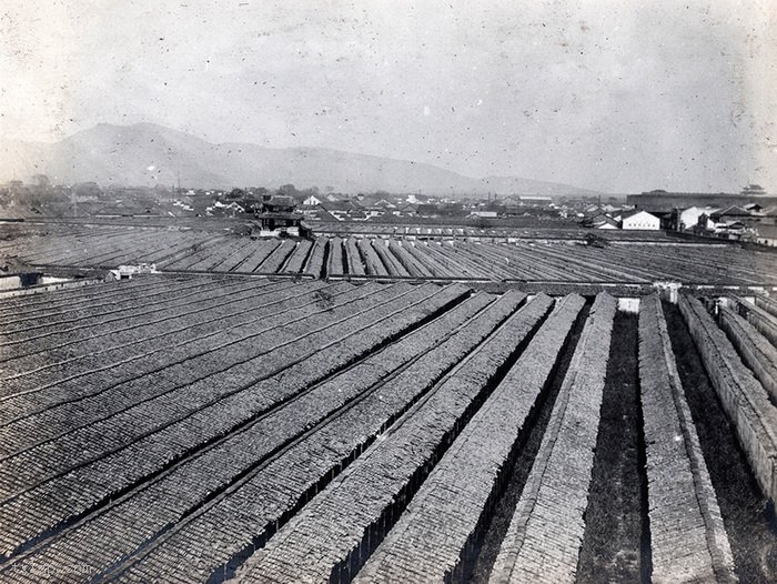 图片[3]-The old photo of Jiangnan Imperial Academy in Nanjing, Jiangsu in 1913-China Archive