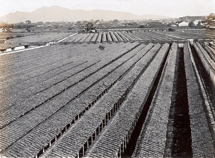 图片[4]-The old photo of Jiangnan Imperial Academy in Nanjing, Jiangsu in 1913-China Archive