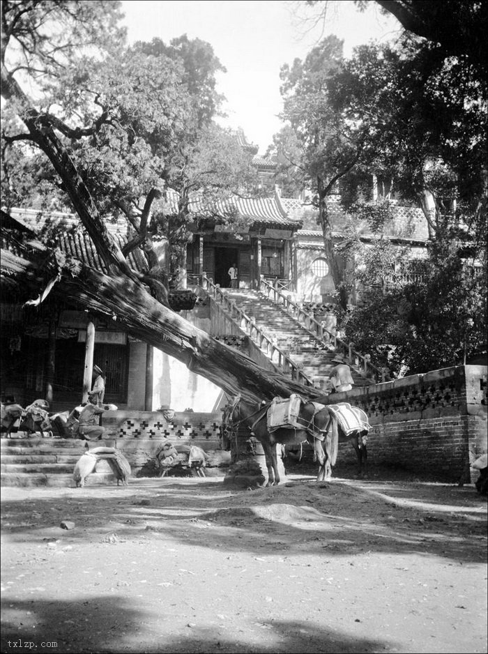 图片[3]-In 1914, the old photo of Taiyuan, Shanxi was taken by Fedek Klap-China Archive