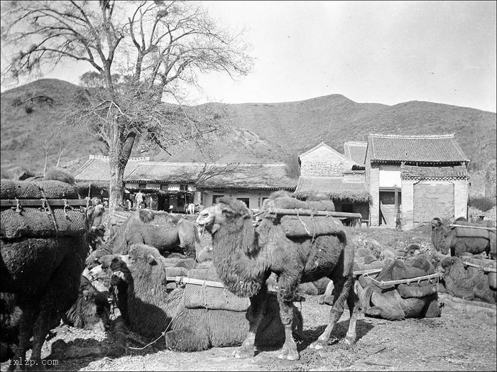 图片[11]-The old photo of Shanxi in 1914 taken by Fedek Klap (Part 2)-China Archive