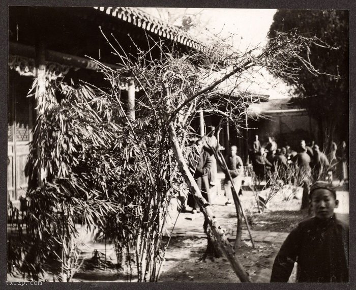 图片[5]-Photographed by Frank Meyer, an old photo of Gansu in 1914-China Archive