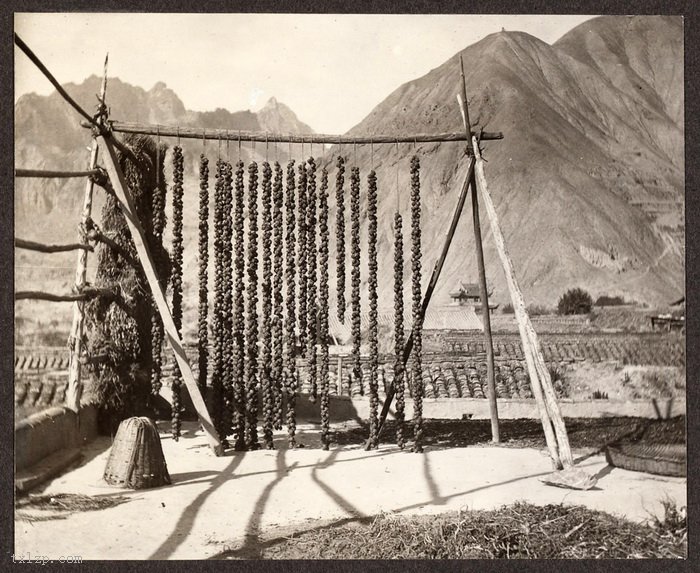 图片[11]-Photographed by Frank Meyer, an old photo of Gansu in 1914-China Archive