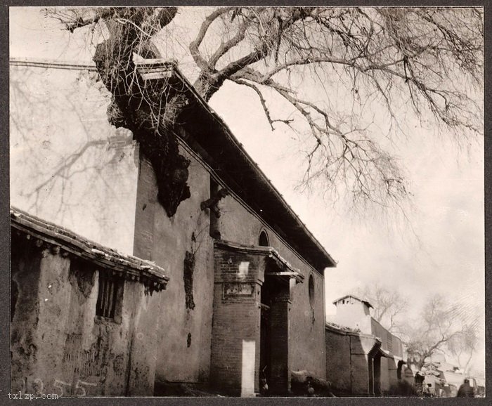 图片[14]-Photographed by Frank Meyer, an old photo of Gansu in 1914-China Archive
