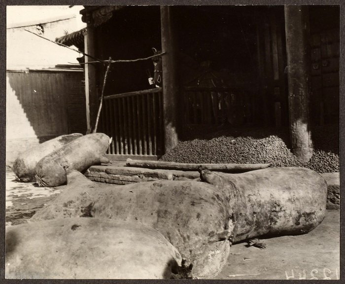 图片[12]-Photographed by Frank Meyer, an old photo of Gansu in 1914-China Archive