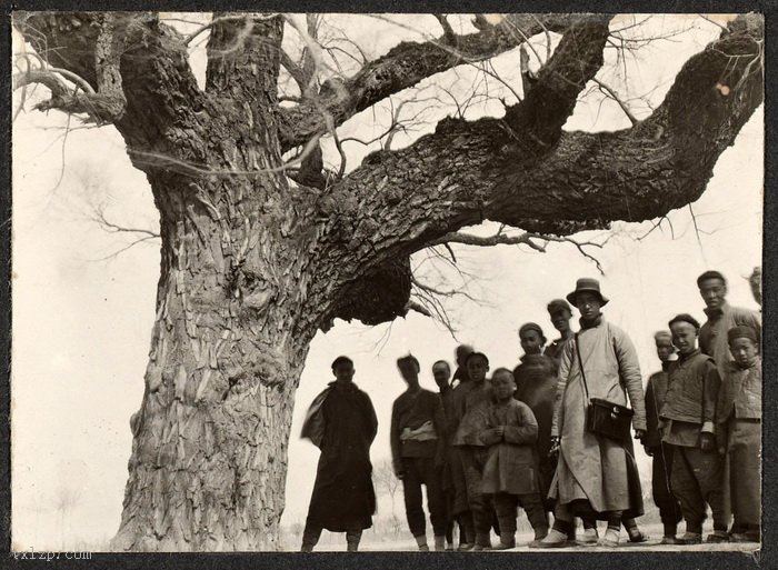 图片[4]-1914 Old photos of Leling, Jinan, Shandong Photographed by Frank Meyer-China Archive