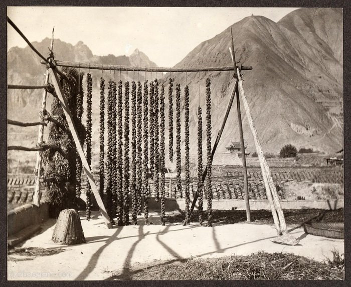 图片[12]-Photographed by Frank Meyer, an old photo of Gansu in 1914-China Archive