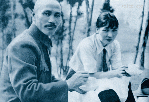 图片[1]-A rare photo of Chiang Kai shek and Song Meiling-China Archive