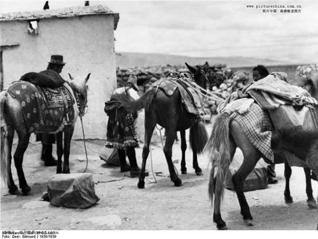 图片[43]-Secret photos of Tibet in 1939-China Archive