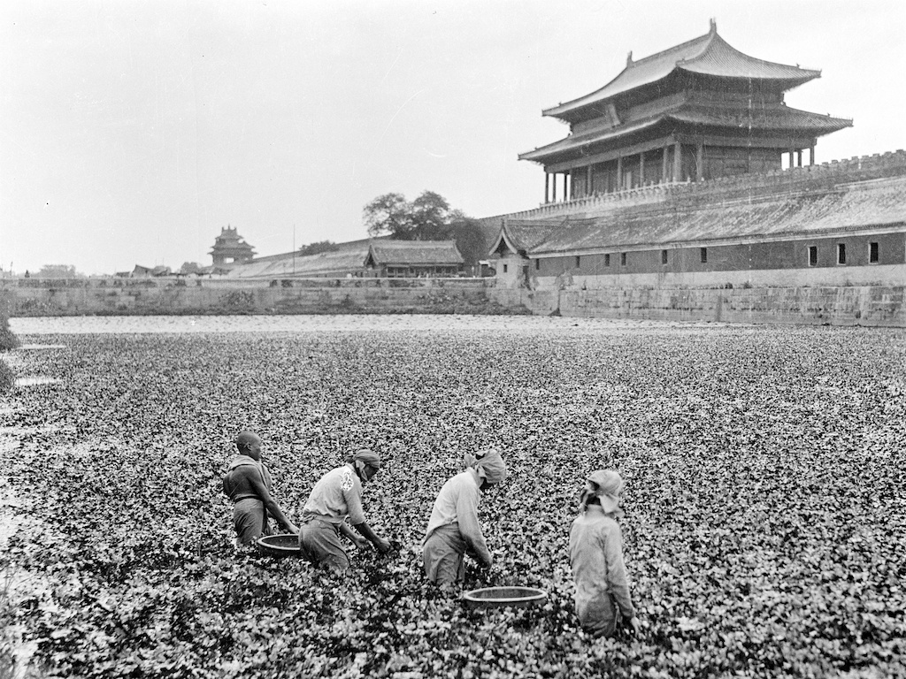 图片[7]-Old photos of Beijing in 1917 (I)-China Archive