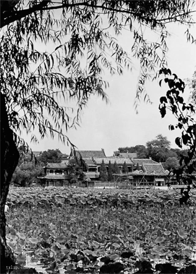 图片[21]-Old photos of Zhongnanhai in Beijing in the 1930s-China Archive