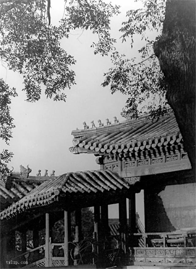 图片[28]-Old photos of Zhongnanhai in Beijing in the 1930s-China Archive