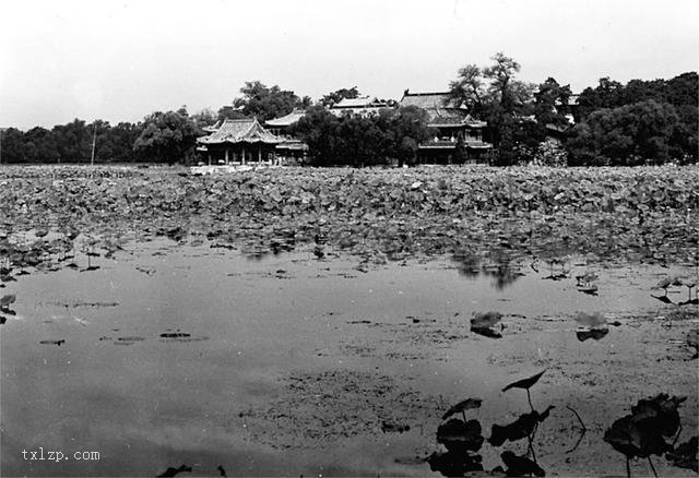 图片[8]-Old photos of Zhongnanhai in Beijing in the 1930s-China Archive