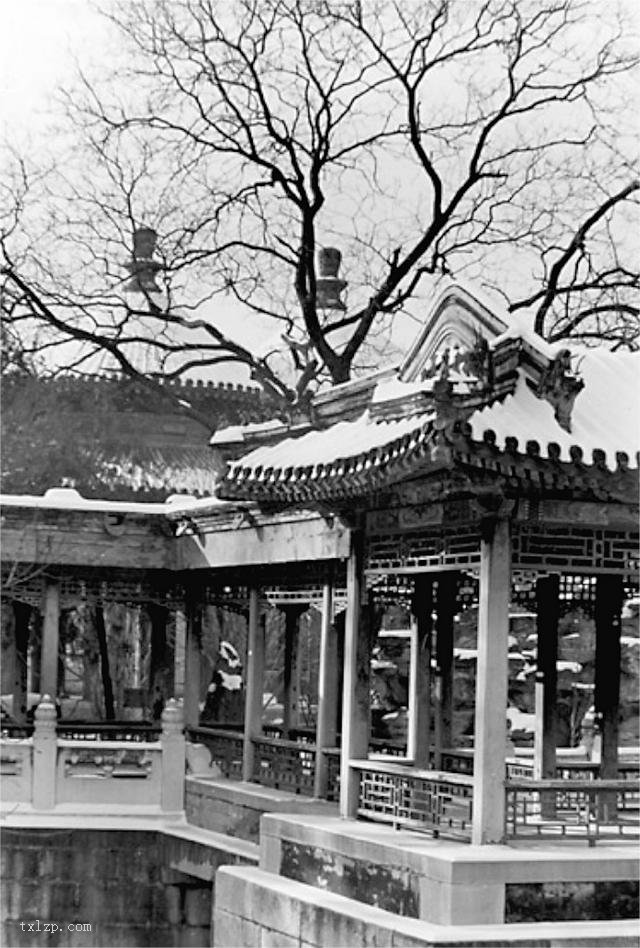 图片[11]-Old photos of Zhongnanhai in Beijing in the 1930s-China Archive