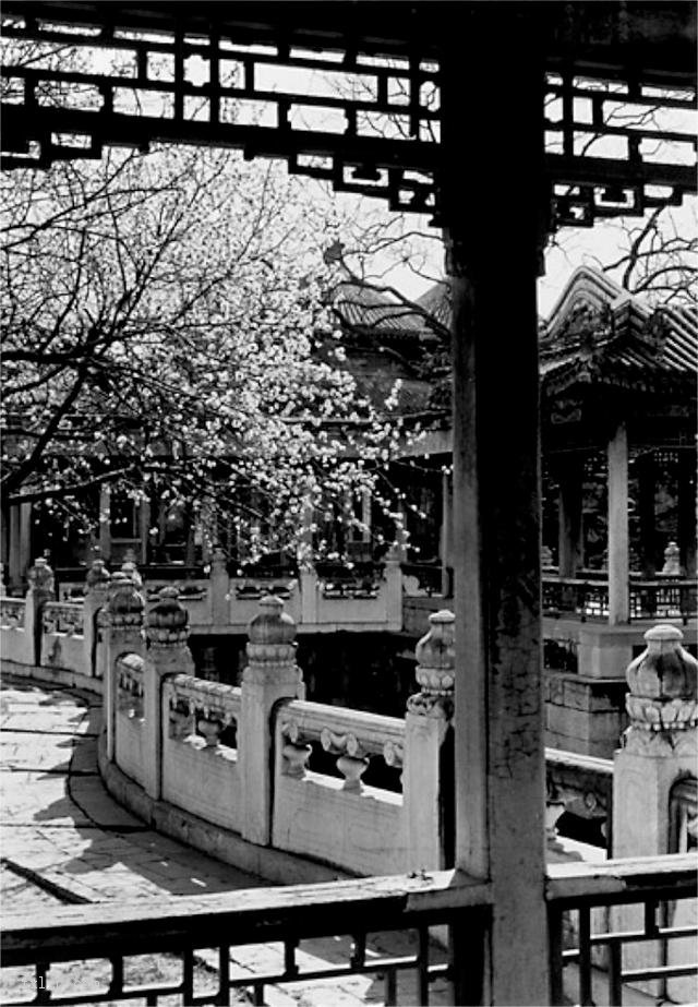 图片[19]-Old photos of Zhongnanhai in Beijing in the 1930s-China Archive