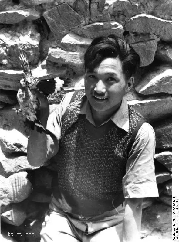 图片[31]-Old photo | 1938 German SS troops in Gyantse, Tibet-China Archive