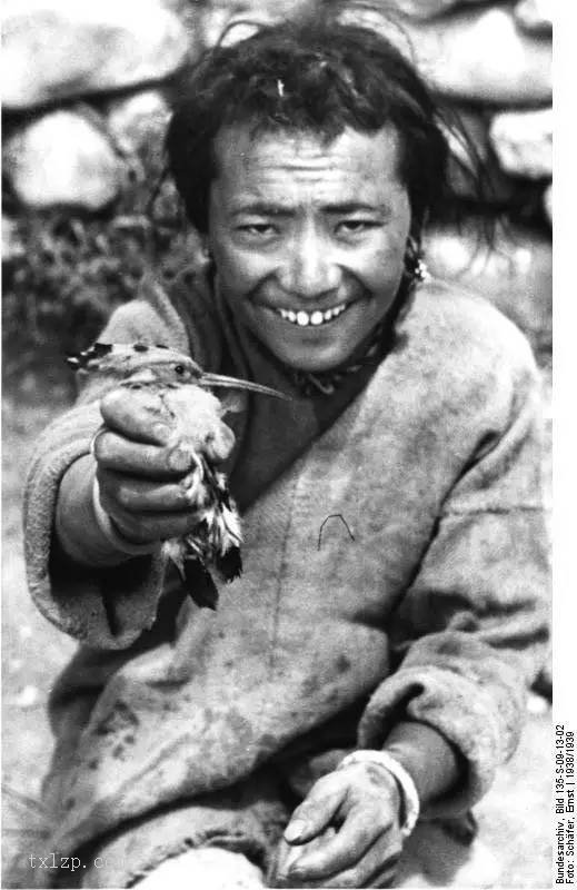 图片[32]-Old photo | 1938 German SS troops in Gyantse, Tibet-China Archive