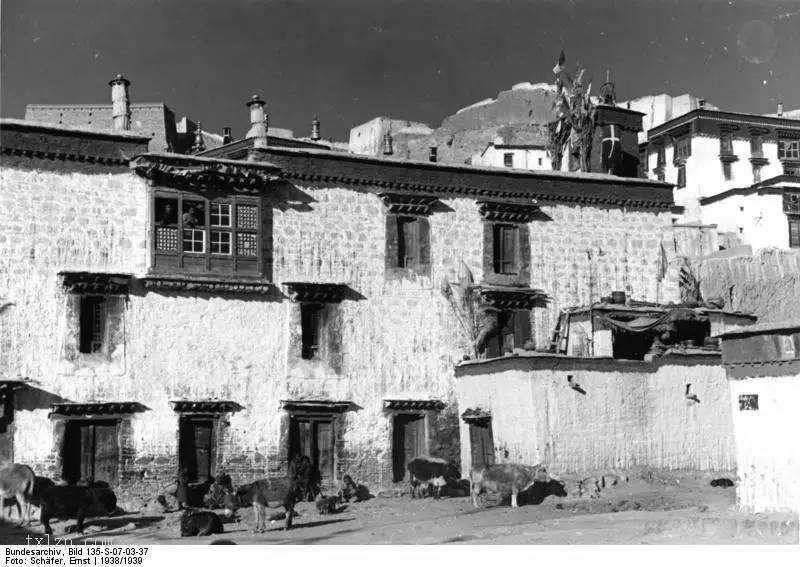 图片[18]-Old photo | 1938 German SS troops in Gyantse, Tibet-China Archive