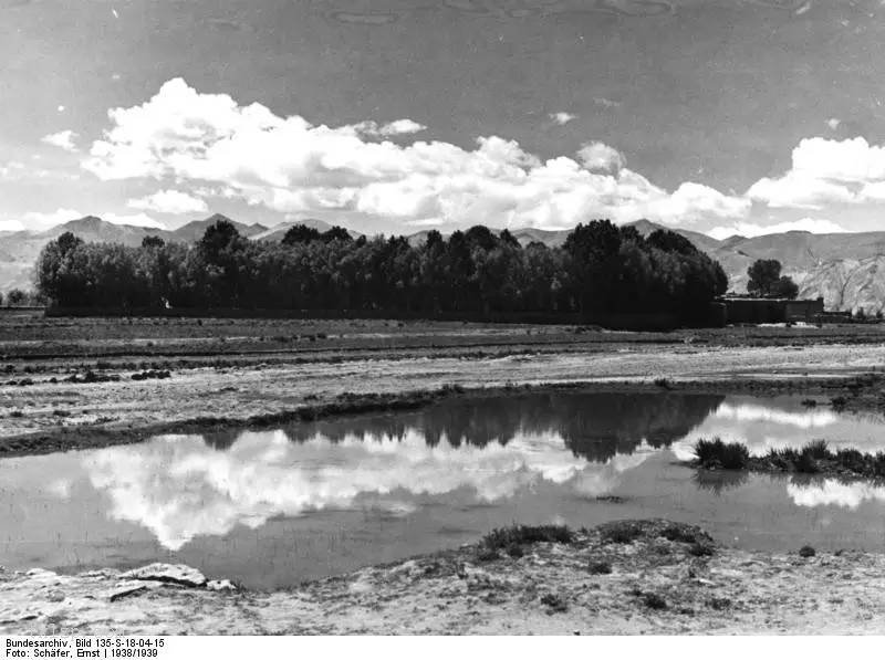 图片[29]-Old photo | 1938 German SS troops in Gyantse, Tibet-China Archive