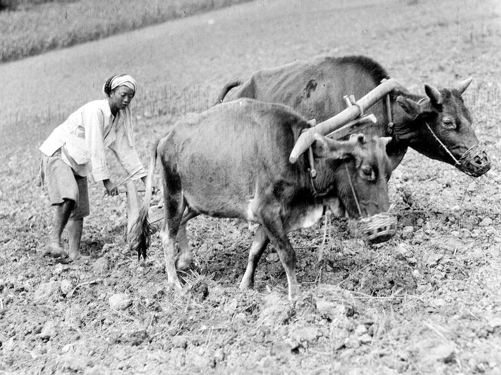 图片[3]-Old photos of Wenchuan, Sichuan in 1917-China Archive