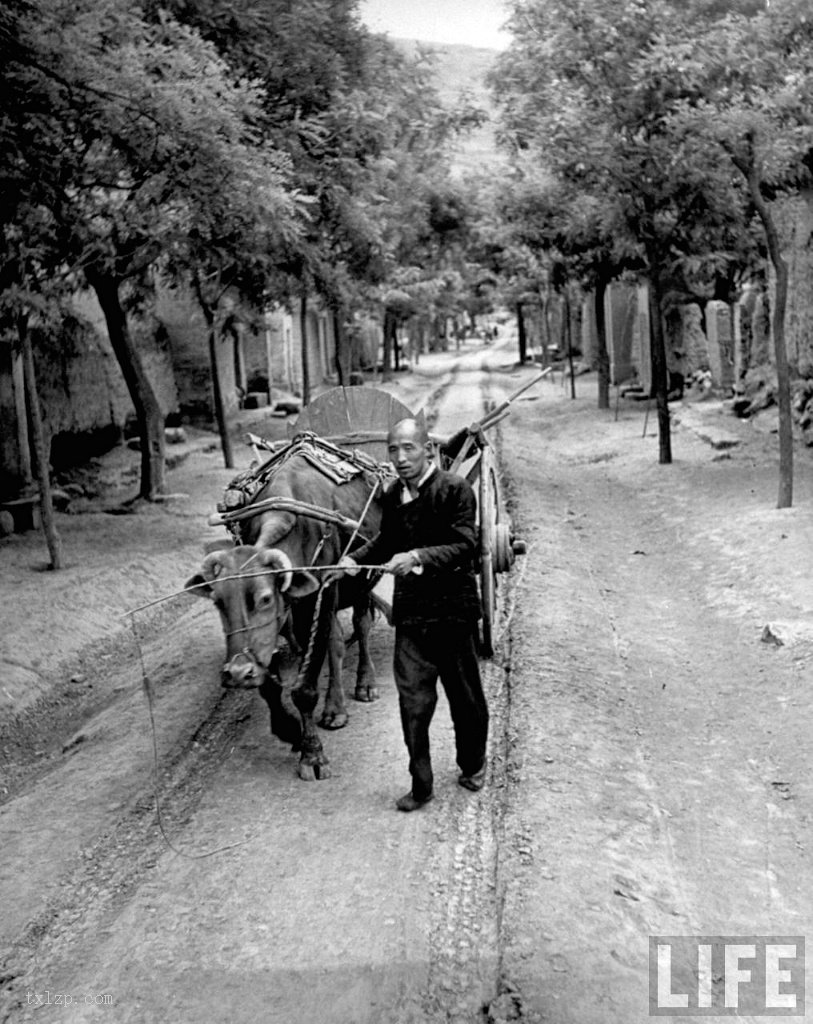 图片[8]-Old photos | Lintong old photos in May 1947-China Archive