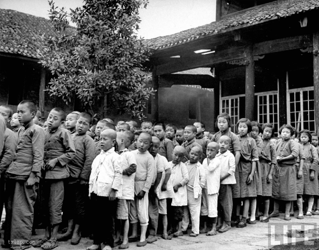 图片[1]-Old photos of the Hunan famine in 1946-China Archive