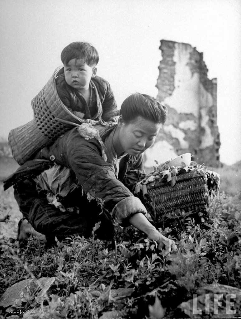 图片[7]-Old photos of the Hunan famine in 1946-China Archive