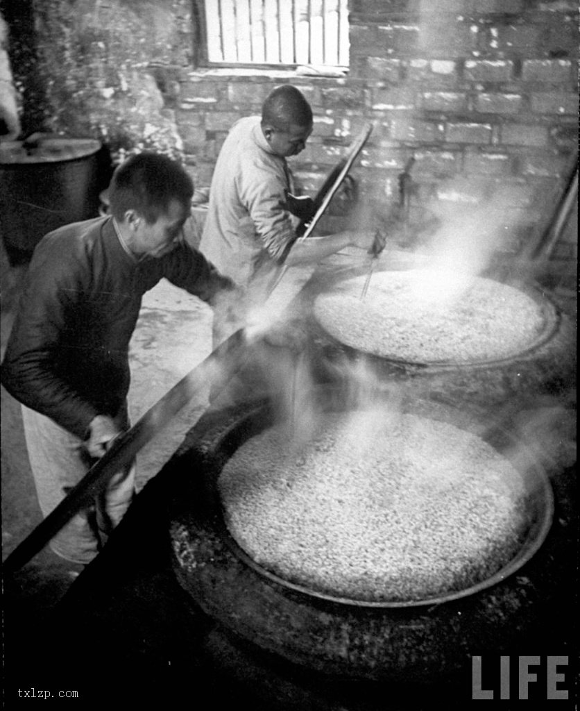 图片[13]-Old photos of the Hunan famine in 1946-China Archive