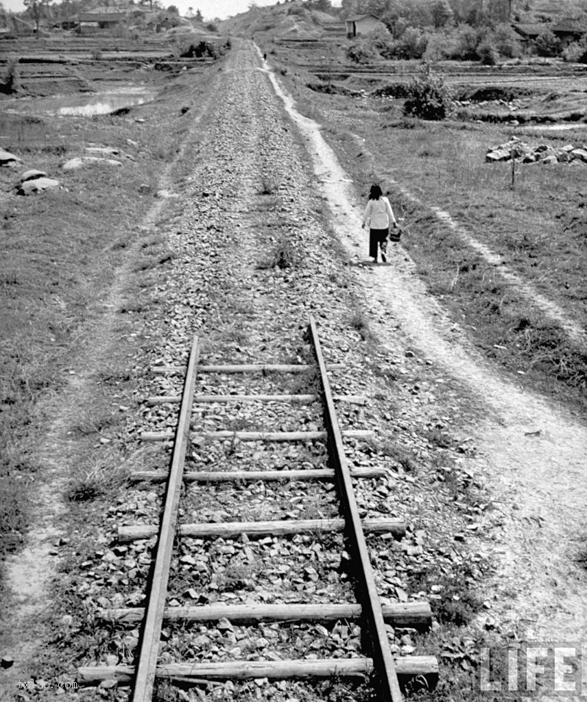 图片[12]-Old photos of the Hunan famine in 1946-China Archive