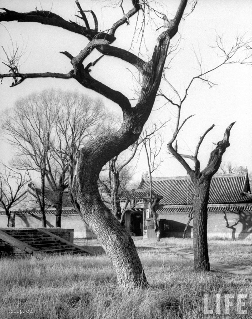 图片[8]-Old photos: 1946 photos of Beijing’s scenic spots-China Archive