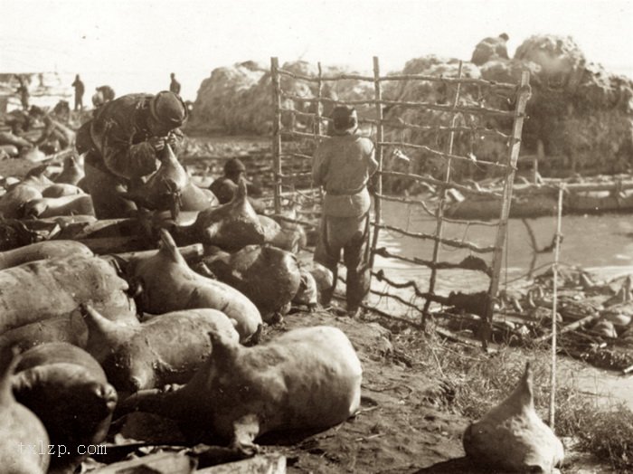 图片[7]-Old photos of people’s life in Suiyuan, Inner Mongolia in 1930-China Archive