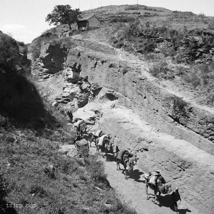 图片[7]-The Royal Garden Scenery of Beijing Xishan in 1930-China Archive